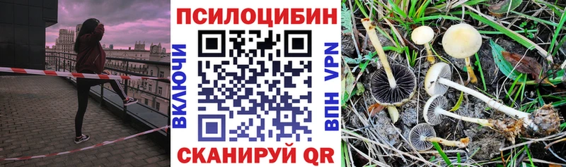 Галлюциногенные грибы мицелий  гидра ТОР  Ярославль  цена  