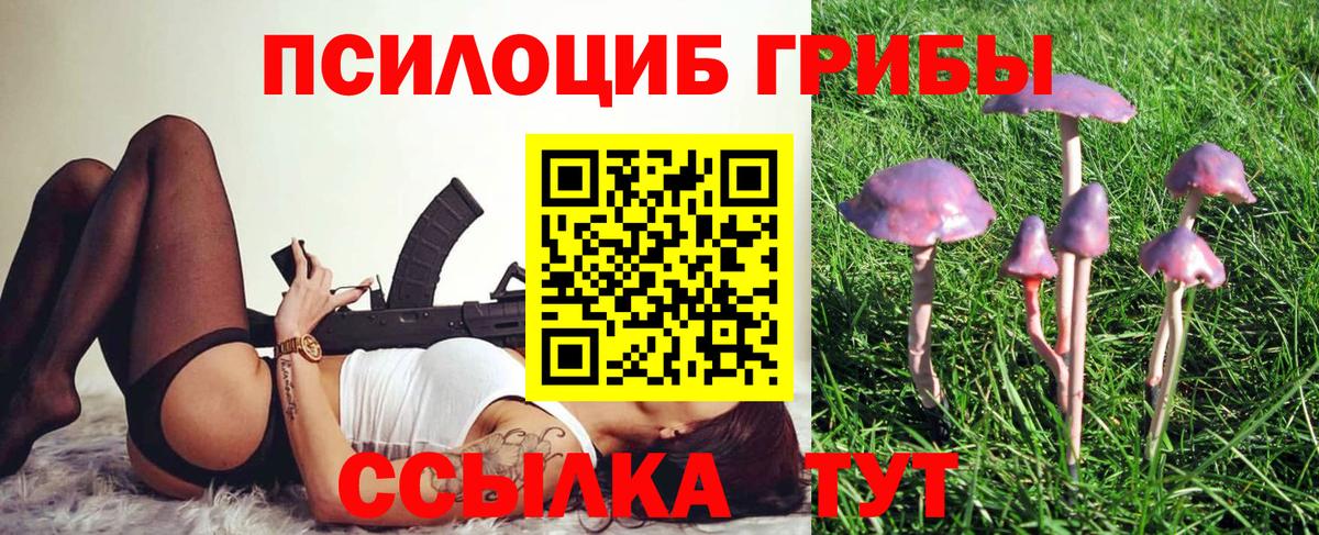 Ярославль  Псилоцибиновые грибы мицелий  цены   Вход с VPN 